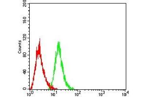 Flow cytometric analysis of HL-60 cells using CD334 mouse mAb (green) and negative control (red). (FGFR4 antibody  (AA 22-369))