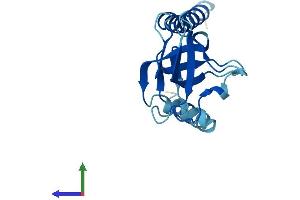 AlphaFold protein structure predicition of Human Recombinant SEC11B Protein, UniprotID P0C7V7 (SEC11B Protein (AA 1-166) (His tag))