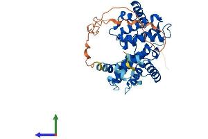 AlphaFold protein structure predicition of Human Recombinant CCNO Protein, UniprotID P22674 (Cyclin O Protein (CCNO) (AA 1-350) (His tag))