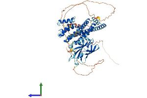 AlphaFold protein structure predicition of Mouse Recombinant Gga2 Protein, UniprotID Q6P5E6