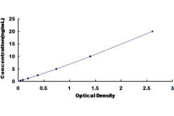 LPHN3 ELISA Kit