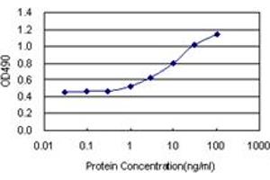 Sandwich ELISA detection sensitivity ranging from 1 ng/mL to 100 ng/mL. (BIRC5 (Human) Matched Antibody Pair)