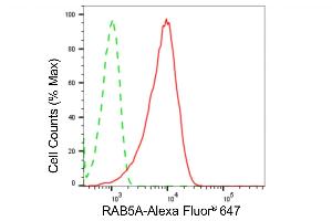 Flow cytometric analysis of RAB5A expression in HepG2 cells using RAB5A antibody (ABIN7800099), 1:2,000). (Recombinant RAB5 antibody)