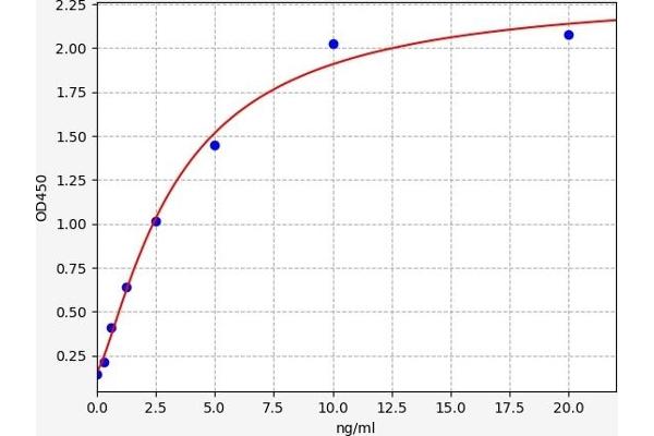 TACI ELISA Kit