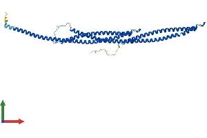 Protein Structure (PS) image for Tektin 1 (TEKT1) (AA 1-418) protein (His tag) (ABIN7544429)