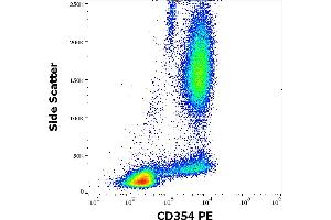 Flow cytometry surface staining pattern of human peripheral whole blood stained using anti-human CD354 (6B1) PE antibody (10 μL reagent / 100 μL of peripheral whole blood). (TREM1 antibody  (PE))