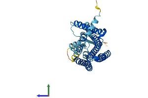 AlphaFold protein structure predicition of Human Recombinant OR7G3 Protein, UniprotID Q8NG95 (Olfactory Receptor, Family 7, Subfamily G, Member 3 (OR7G3) (AA 1-312) protein (His tag))