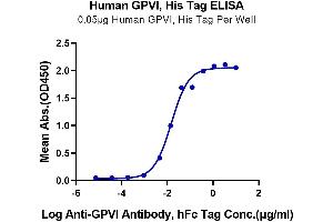 Immobilized Human GPVI, His Tag at 0. (GP6 Protein (AA 21-267) (His tag))
