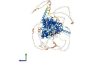 AlphaFold protein structure predicition of Mouse Recombinant Fam120c Protein, UniprotID Q8C3F2 (FAM120C Protein (AA 1-1091) (His tag))