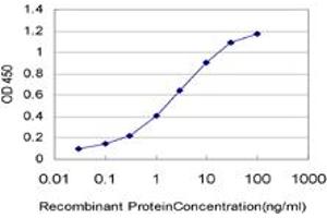 Detection limit for recombinant GST tagged THNSL1 is approximately 0. (THNSL1 antibody  (AA 151-250))