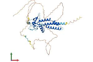Protein Structure (PS) image for Transcription Factor AP-2 epsilon (Activating Enhancer Binding Protein 2 Epsilon) (TFAP2E) (AA 1-442) protein (His tag) (ABIN7552222)
