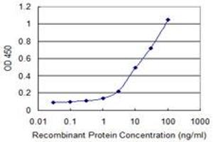 Detection limit for recombinant GST tagged HLA-DQA1 is 0. (HLA-DQA1 antibody  (AA 24-110))
