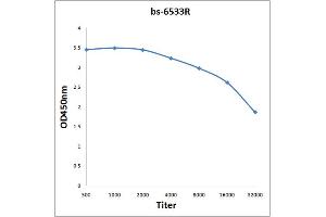 Antigen: 0. (ELAPOR1 antibody  (AA 841-940))