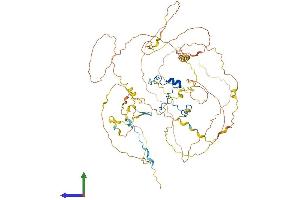 AlphaFold protein structure predicition of Human Recombinant CASC3 Protein, UniprotID O15234