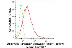 Flow cytometric analysis of Eukaryotic translation elongation factor 1 gamma expression in HepG2 cells using Eukaryotic translation elongation factor 1 gamma antibody (ABIN7798500), 1:2,000). (Recombinant EEF1G antibody)