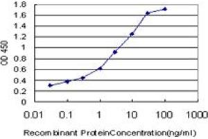 Detection limit for recombinant GST tagged TGM2 is approximately 0. (Transglutaminase 2 antibody  (AA 1-120))