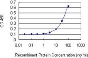Detection limit for recombinant GST tagged XRCC3 is 3 ng/ml as a capture antibody. (XRCC3 antibody  (AA 31-130))