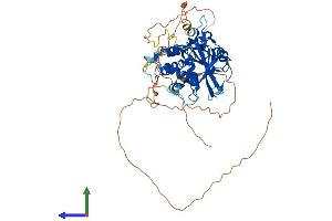 AlphaFold protein structure predicition of Human Recombinant USP17L21 Protein, UniprotID D6R901 (USP17L21 Protein (AA 1-530) (His tag))