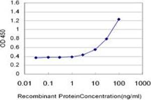 Detection limit for recombinant GST tagged EXOC3 is approximately 3ng/ml as a capture antibody. (EXOC3 antibody  (AA 646-745))
