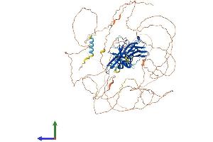 Protein Structure (PS) image for Nuclear Factor of Activated T-Cells, Cytoplasmic, Calcineurin-Dependent 2 (NFAT1) (AA 1-925) protein (His tag) (ABIN7554731)
