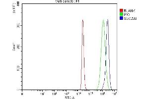 anti-SEC22b Vesicle Trafficking Protein (SEC22B) (AA 6-197) antibody