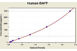 Diagramm of the ELISA kit to detect Human BAFFwith the optical density on the x-axis and the concentration on the y-axis. (BAFF ELISA Kit)