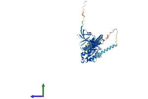 AlphaFold protein structure predicition of Human Recombinant NF2 Protein, UniprotID P35240