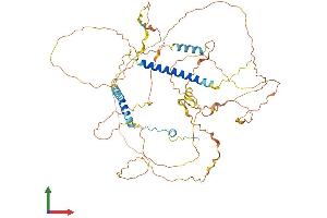 AlphaFold protein structure predicition of Mouse Recombinant Dact3 Protein, UniprotID Q0PHV7 (DACT3 Protein (AA 1-610) (His tag))