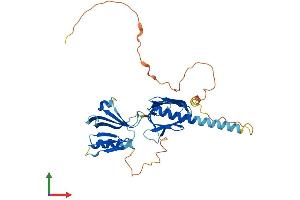 AlphaFold protein structure predicition of Mouse Recombinant Dok6 Protein, UniprotID Q2MHE5 (DOK6 Protein (AA 1-331) (His tag))