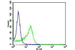 Flow cytometric analysis of Ramos cells using IL4R Antibody (C-term)(green, Cat(ABIN1944783 and ABIN2838524)) compared to an isotype control of rabbit IgG(blue). (IL4 Receptor antibody  (C-Term))