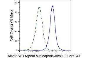 Validation of Aladin WD repeat nucleoporin knockdown using flow cytometry. (Adracalin antibody)