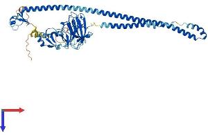 Protein Structure (PS) image for Tripartite Motif Containing 7 (TRIM7) (AA 1-511) protein (His tag) (ABIN7544748)