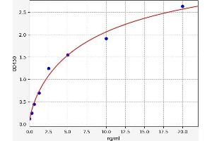 Typical standard curve (ADCY2 ELISA Kit)