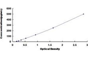 Typical standard curve (IFNA13 ELISA Kit)