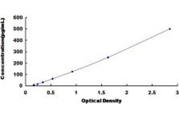 IFNA13 ELISA Kit