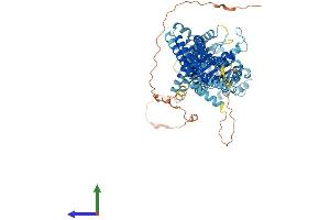 Protein Structure (PS) image for MX dynamin like GTPase 2 (MX2) (AA 1-715) protein (His tag) (ABIN7554637)