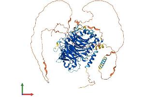 AlphaFold protein structure predicition of Mouse Recombinant Gtf3c2 Protein, UniprotID Q8BL74