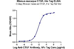 Immobilized Rhesus macaque CTGF, His Tag at 0. (CTGF Protein (AA 27-349) (His tag))