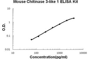 Mouse Chitinase 3-like 1/YKL-40 Accusignal ELISA Kit Mouse Chitinase 3-like 1/YKL-40 AccuSignal ELISA Kit standard curve. (Chitinase 3-Like 1/YKL-40 ELISA Kit)