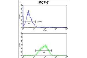Flow cytometric analysis of MCF-7 cells (bottom histogram) compared to a negative control cell (top histogram). (Der1-Like Domain Family, Member 2 (DERL2) (AA 191-218), (C-Term) antibody)
