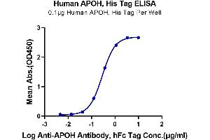 Immobilized Human APOH, His Tag at 1 μg/mL (100 μL/Well) on the plate. (APOH Protein (AA 20-345) (His tag))
