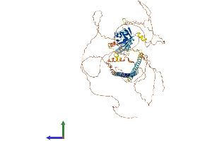 Protein Structure (PS) image for PAS Domain Containing 1 (PASD1) (AA 1-773) protein (His tag) (ABIN7554869)