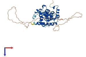 Cyclin J (CCNJ) (AA 1-372) protein (His tag)