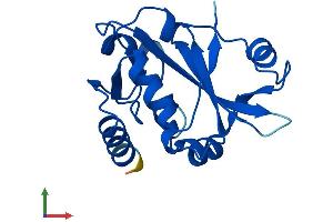 AlphaFold protein structure predicition of Mouse Recombinant Prorsd1 Protein, UniprotID Q9D820 (PRORSD1 Protein (AA 1-169) (His tag))