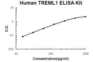 Human TREML1 PicoKine ELISA Kit standard curve