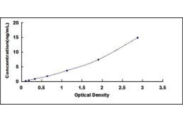 Angiopoietin 1 ELISA Kit