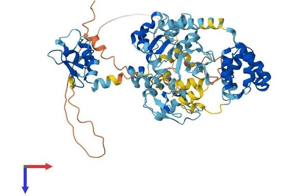 BIRC3 Protein (AA 1-604) (His tag)