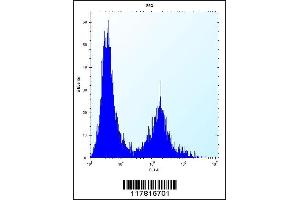 Flow cytometric analysis of 293 cells (right histogram) compared to a negative control cell (left histogram). (CLEC3B antibody  (AA 95-122))