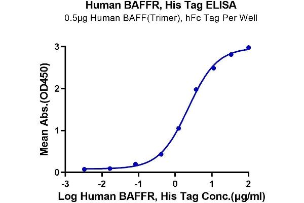 TNFRSF13C Protein (AA 7-71) (His tag)