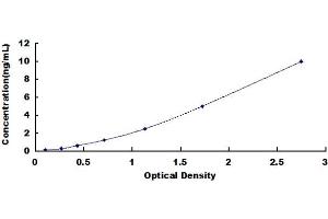 Typical standard curve (BCL2A1 ELISA Kit)